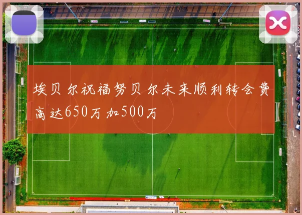 埃贝尔祝福努贝尔未来顺利转会费高达650万加500万