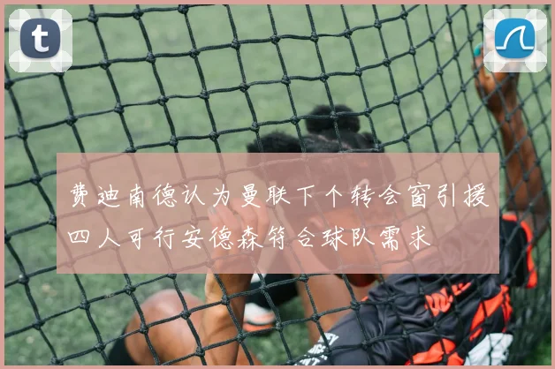 费迪南德认为曼联下个转会窗引援四人可行安德森符合球队需求